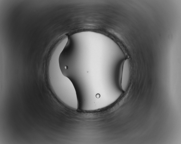 X0000089351402200707131522
