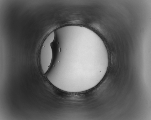 X0000089351405200707131522