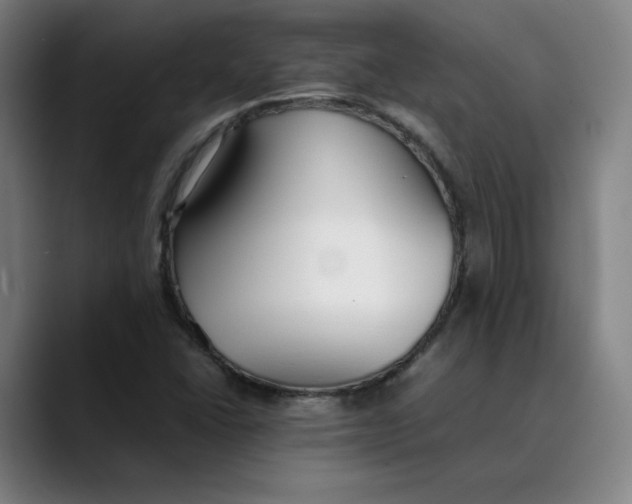 X0000089351406200707131522