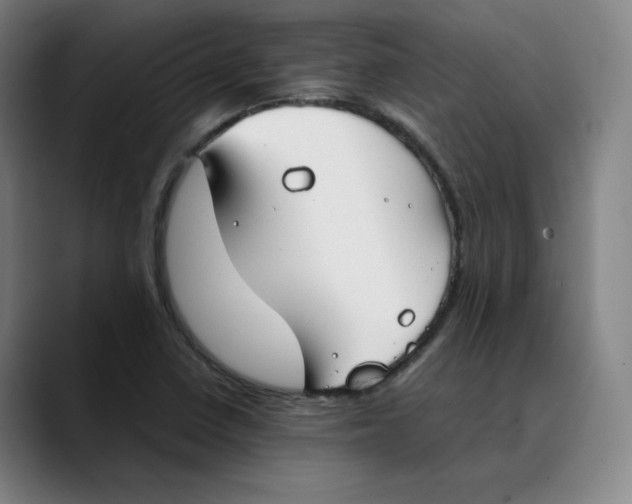 X0000089351410200707131522
