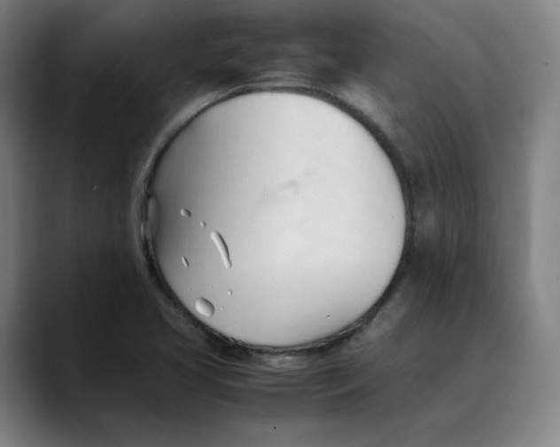 X0000089351413200707131523