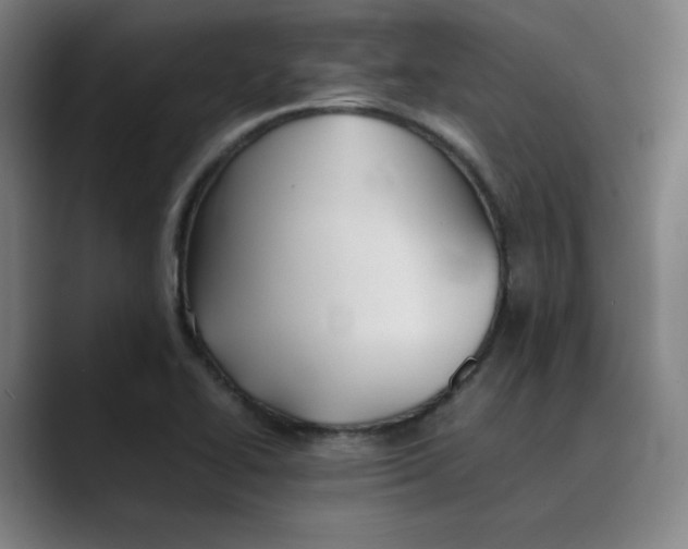 X0000089351414200707131523