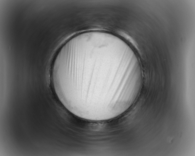 X0000089351415200707131523