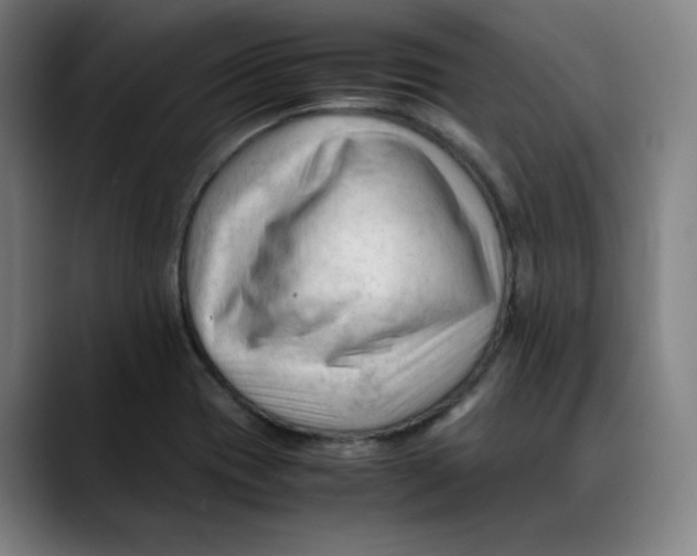 X0000089351417200707131523