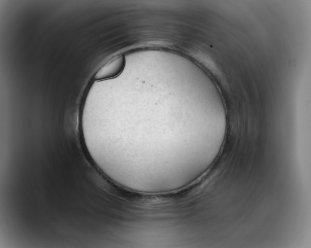 X0000089351420200707131523