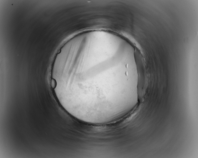 X0000089351421200707131523