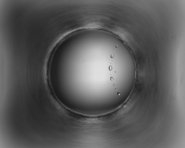 X0000089351422200707131523