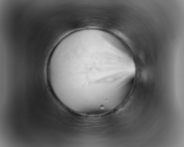X0000089351423200707131523