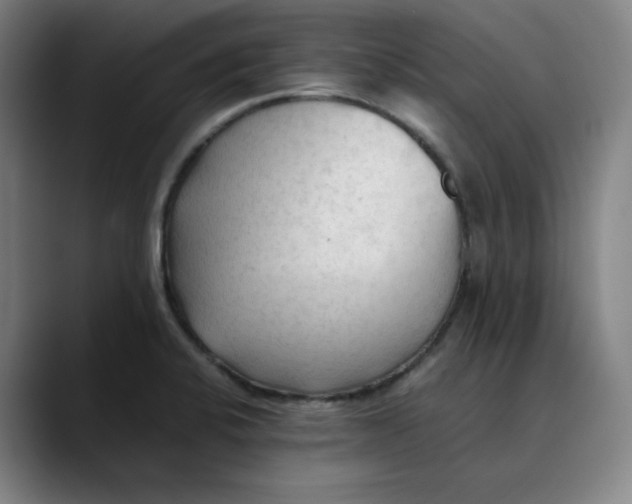 X0000089351424200707131523