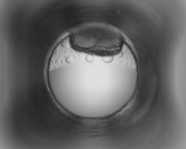 X0000089351429200707131523