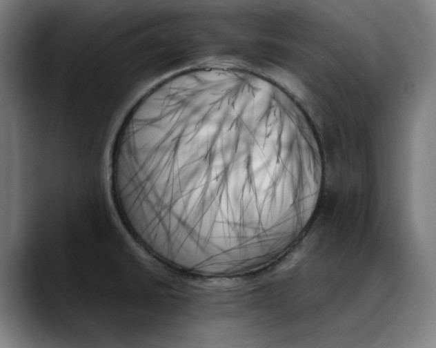X0000089351430200707131523