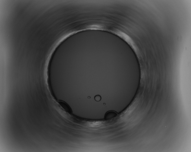 X0000089351435200707131523