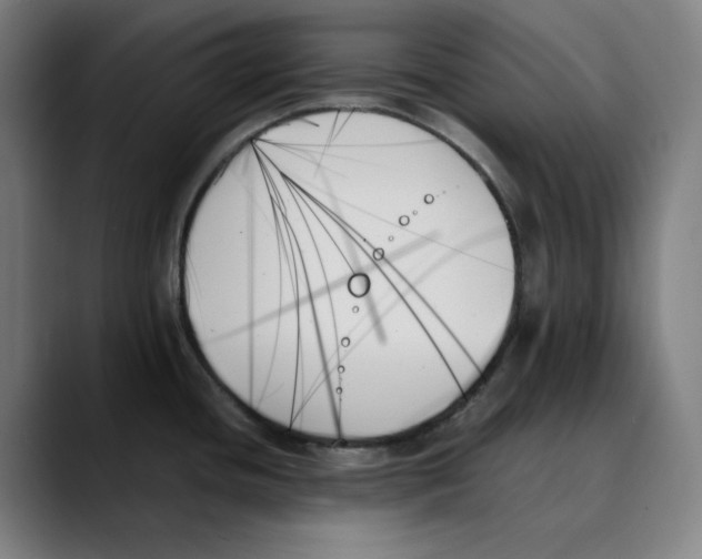 X0000089351436200707131523