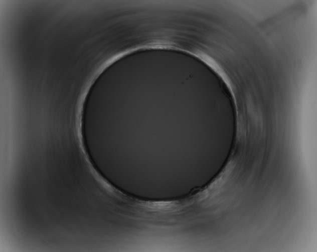 X0000089351437200707131523