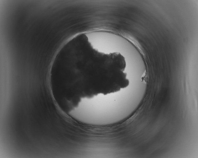 X0000089351439200707131523