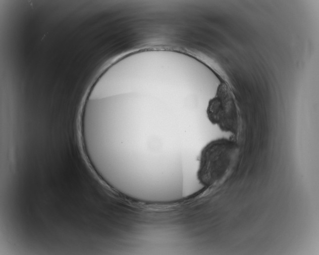 X0000089351440200707131523