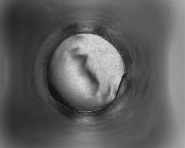X0000089351441200707131522