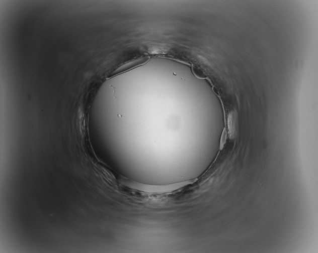 X0000089351443200707131522