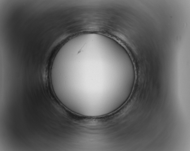 X0000089351450200707131522