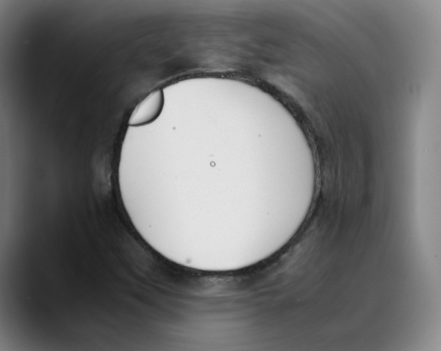 X0000089351451200707131522