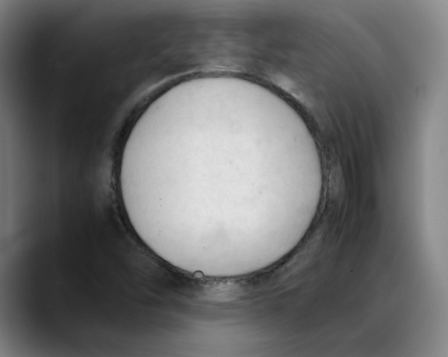 X0000089351454200707131522
