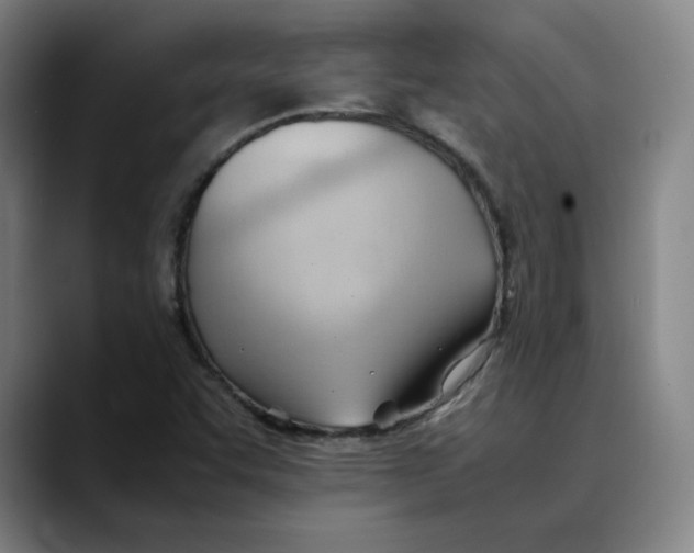 X0000089351455200707131522