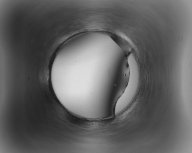 X0000089351461200707131522
