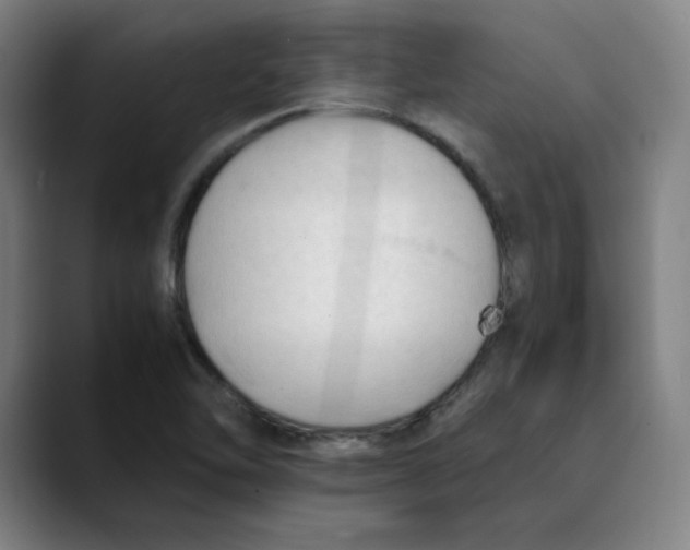 X0000089351462200707131522