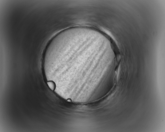 X0000089351463200707131522