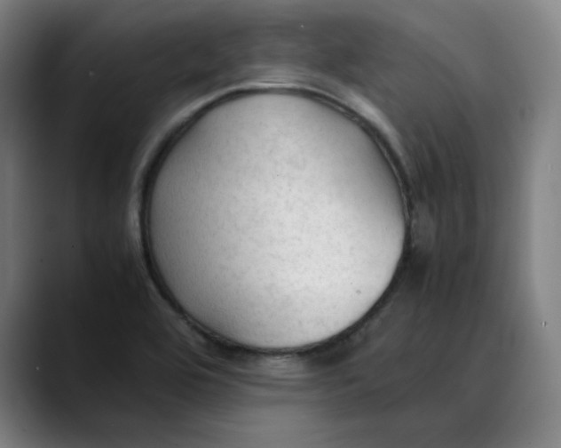X0000089351464200707131522