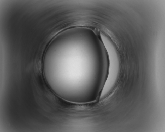 X0000089351465200707131522