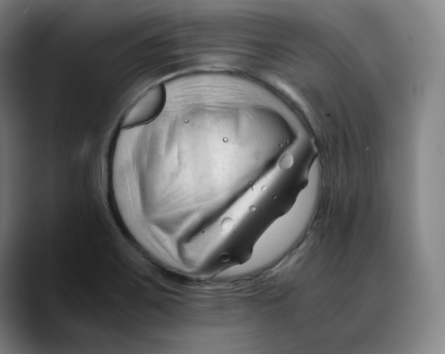 X0000089351467200707131522