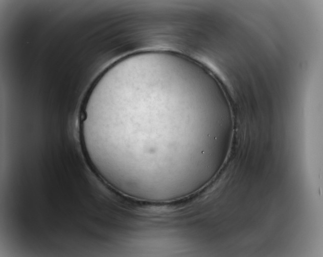 X0000089351468200707131522