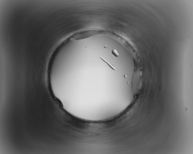 X0000089351469200707131522
