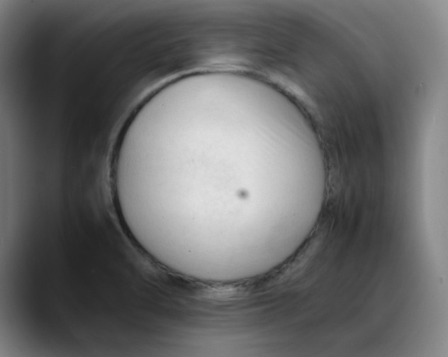 X0000089351470200707131522