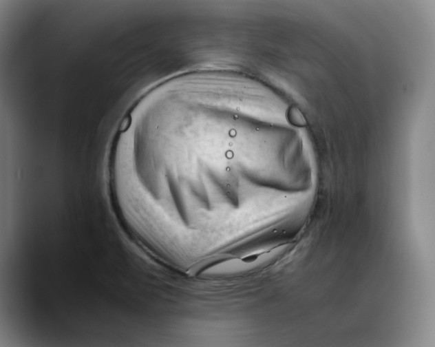 X0000089351471200707131522
