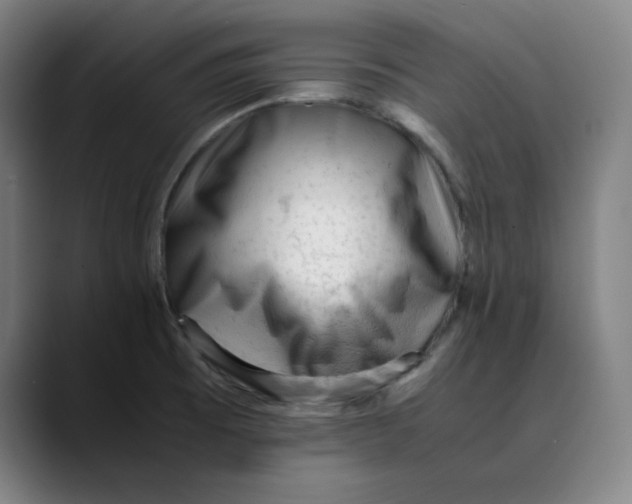 X0000089351473200707131522