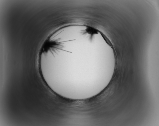 X0000089351477200707131522