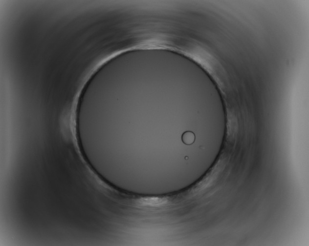 X0000089351478200707131522