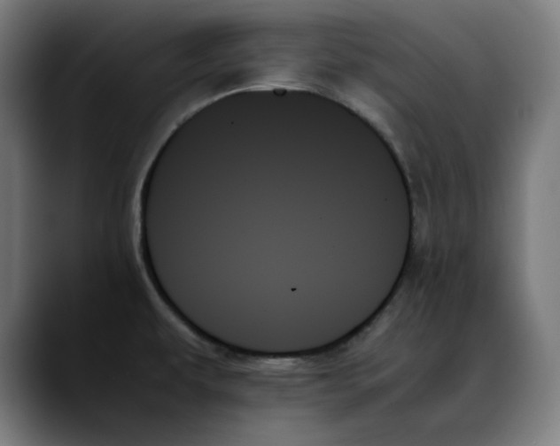 X0000089351479200707131522
