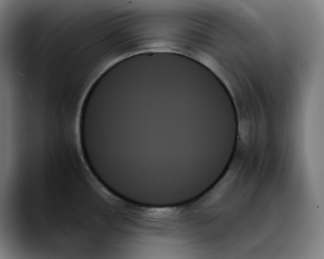 X0000089351482200707131522