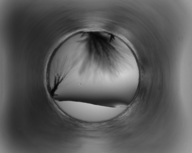 X0000089351485200707131522