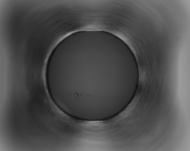 X0000089351486200707131522