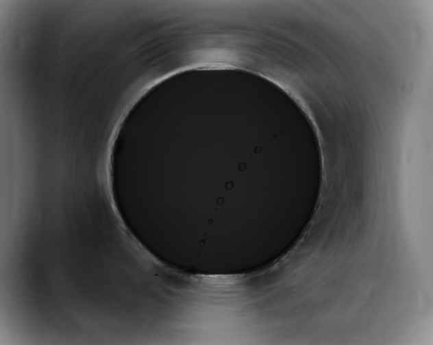 X0000089351488200707131522