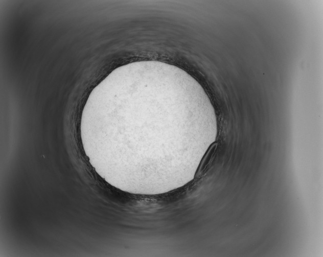 X0000089351489200707131521