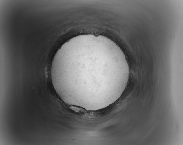 X0000089351490200707131521