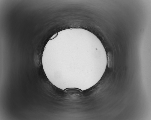 X0000089351491200707131521