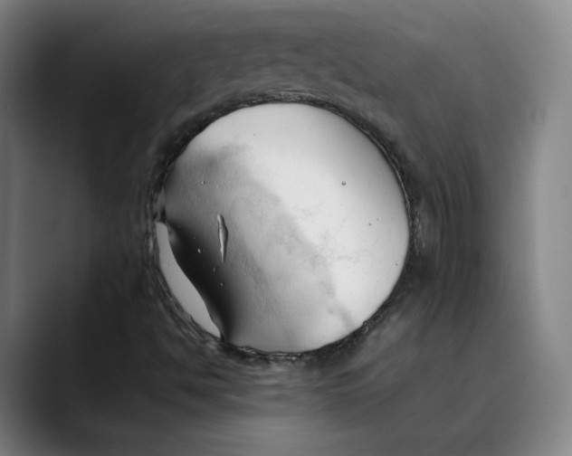 X0000089351494200707131521