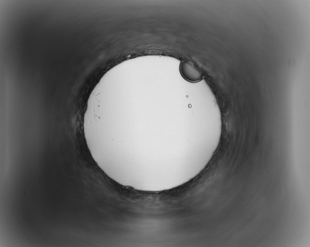 X0000089351495200707131521