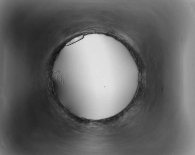 X0000089351496200707131521